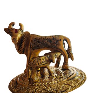 import placeholder for 8821