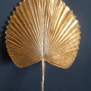 Golden Ruffled Fan Palm Stem