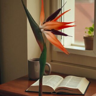 Lifelike Artificial Bird of Paradise Flower Stem | Exotic Tropical Faux Strelitzia for Vase & Arrangements