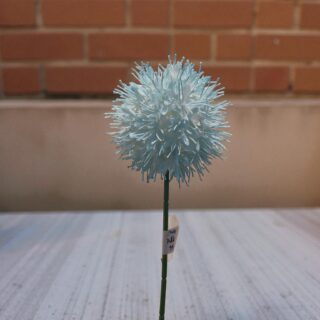 Pincushion Protea Blue