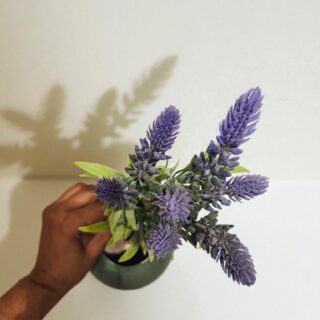 Lavender Flower