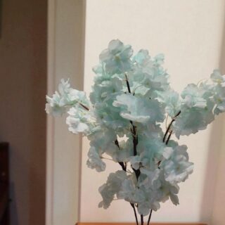 Pale Blue Cherry Blossom-3528