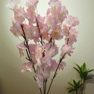 Baby Pink Cherry Blossom-3715