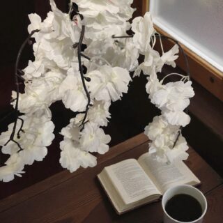 White Cherry Blossom-4047