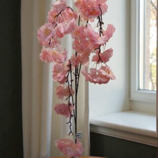 Pinky Cherry Blossom-4146