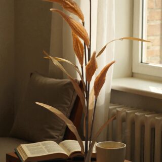 Weed Stick Peach-4316