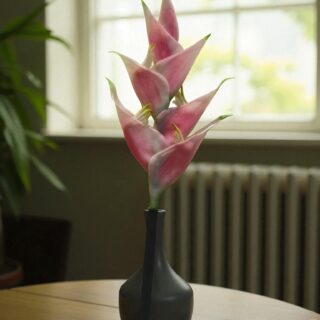 Pink Heliconia Flower